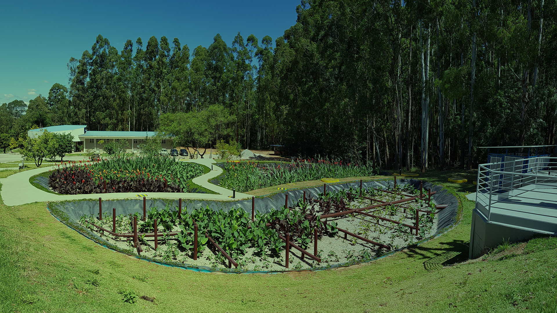 Comitê de Infraestrutura aborda jardins filtrantes como alternativa para recuperação de rios e lagos urbanos