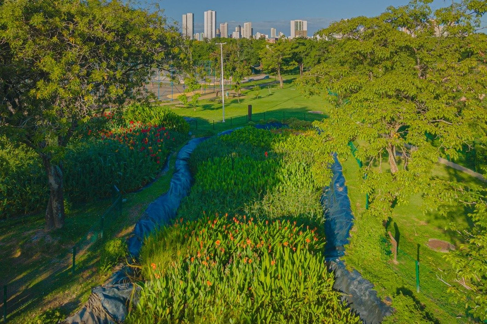 Jardins Filtrantes® no Recife completam três anos com redução de 90% da poluição
